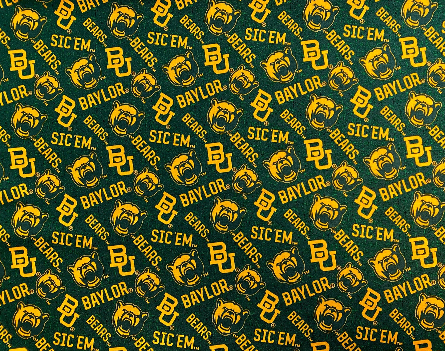 Baylor University Sash Belt, Baylor Tailgate Outfit, Baylor Game Day Outfit, Baylor Bears Game Day Clothes, Baylor Football + More Colleges