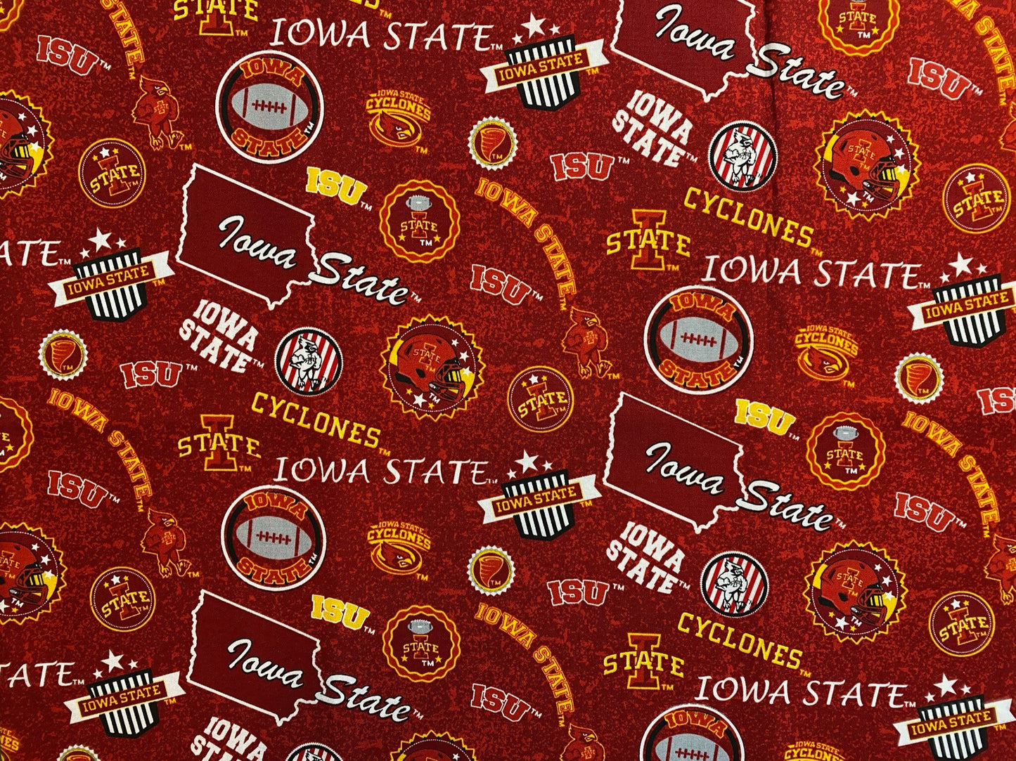 Michigan State Sash Belt, MSU Sash Belt, Tailgate Party, Spartans Game Day Outfit, Michigan State Tailgate Outfit, + More Colleges