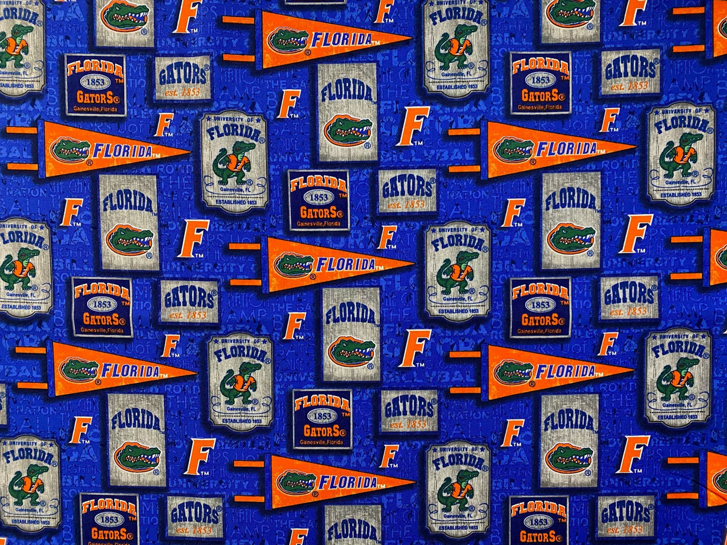 Michigan State Sash Belt, MSU Sash Belt, Tailgate Party, Spartans Game Day Outfit, Michigan State Tailgate Outfit, + More Colleges