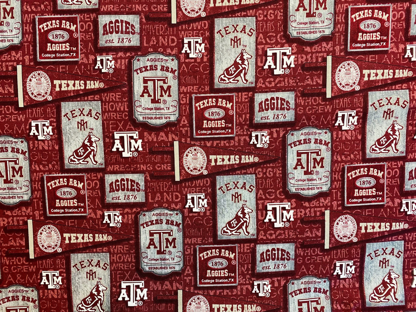 Michigan State Sash Belt, MSU Sash Belt, Tailgate Party, Spartans Game Day Outfit, Michigan State Tailgate Outfit, + More Colleges