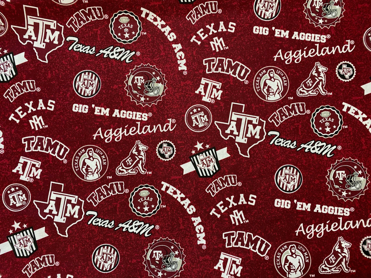 Baylor University Sash Belt, Baylor Tailgate Outfit, Baylor Game Day Outfit, Baylor Bears Game Day Clothes, Baylor Football + More Colleges