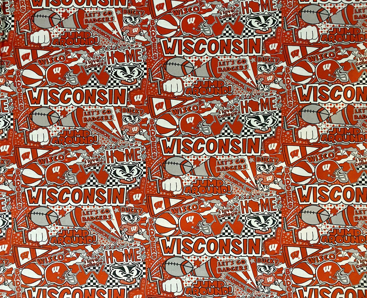 Wisconsin Badgers Game Day Outfit, University of Wisconsin Sash Belt, Badgers Game Day, Badgers Tailgate Outfit, Wisconsin Tailgate